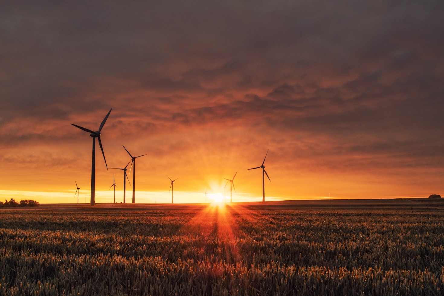 A Guide To Choosing The Right Solar Panels